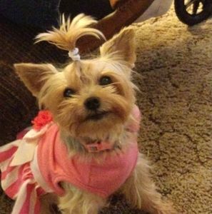 Meet your Posher, Randi